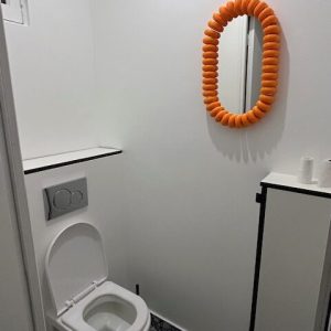 espace-placard-placard-WC-miroir (1)