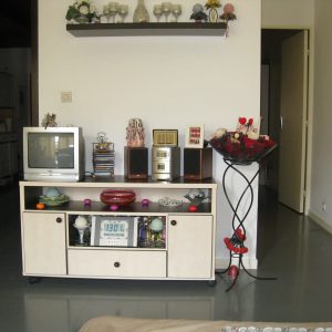 espace-plcard-bibliotheque-meubletv (4)